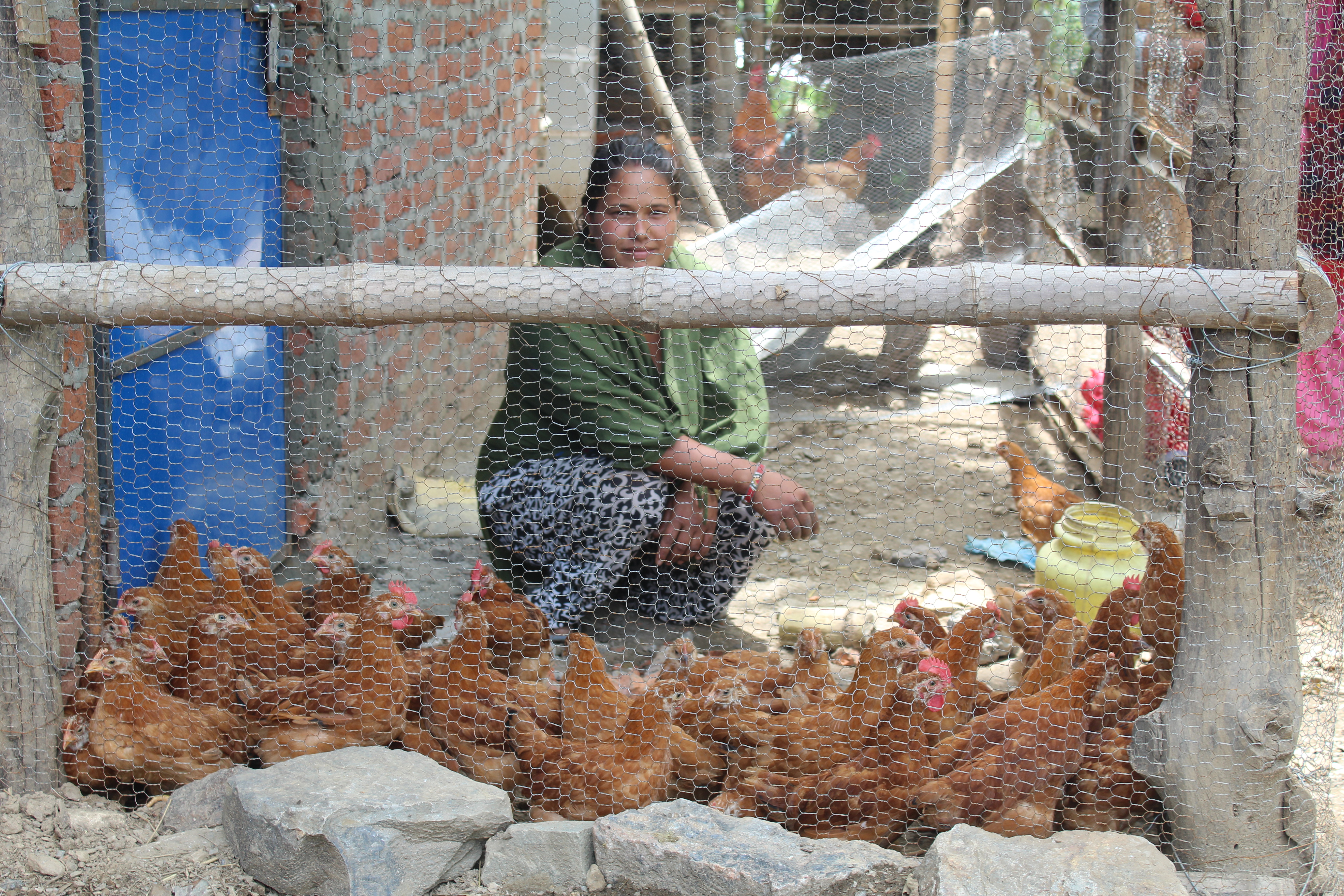 ‘सुत्केरी आमालाई अण्डा उपहार’