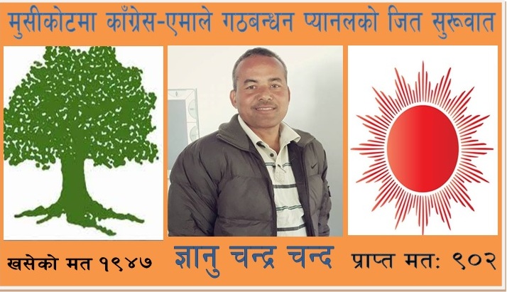 मुसीकोटमा काँग्रेस–एमाले गठबन्धन प्यानलको जित सुरुवात